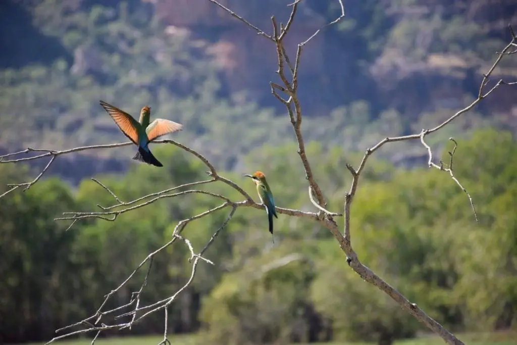 Discover the best Top End National Parks Discover the best Top End National Parks